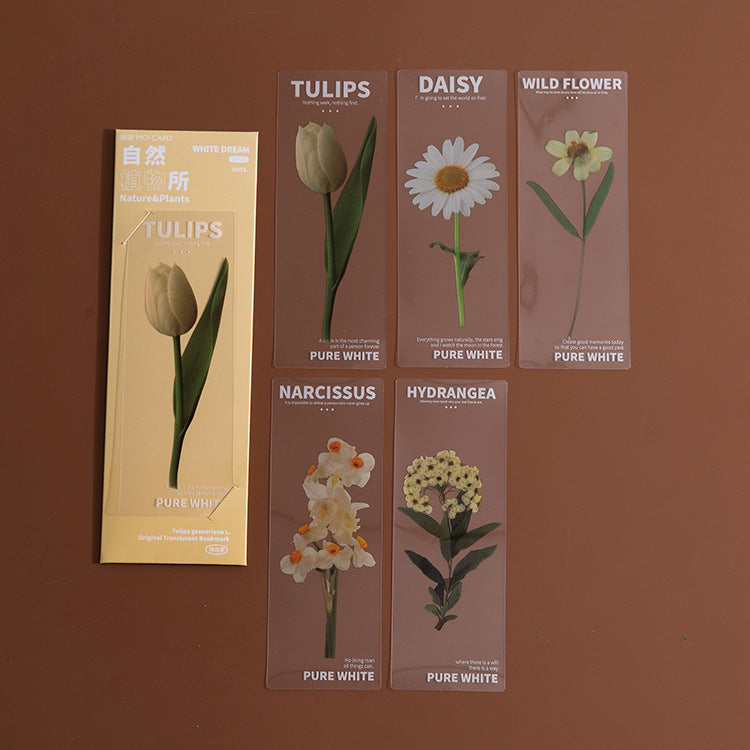 Dried Daisy Bookmark