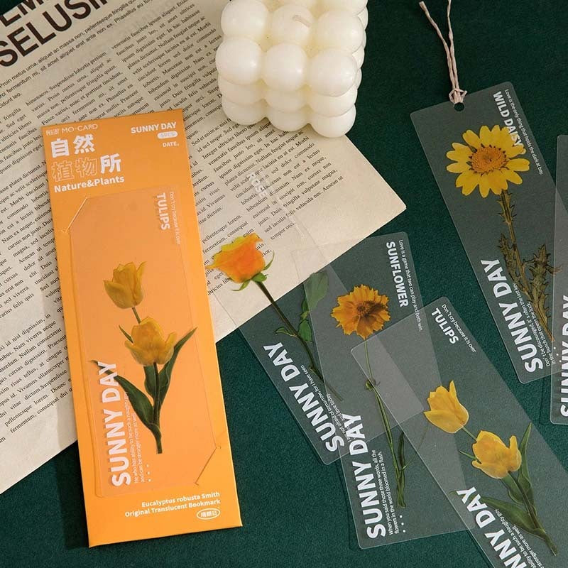 Dried Daisy Bookmark