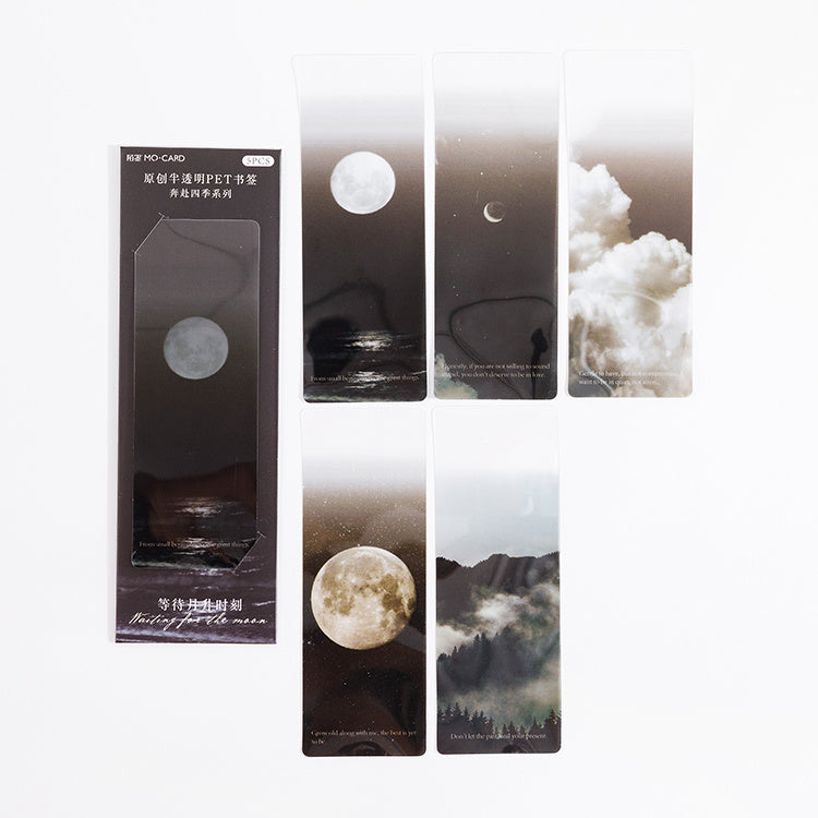 Dried Daisy Bookmark